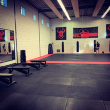 Afbeelding in Gallery-weergave laden, Project gym